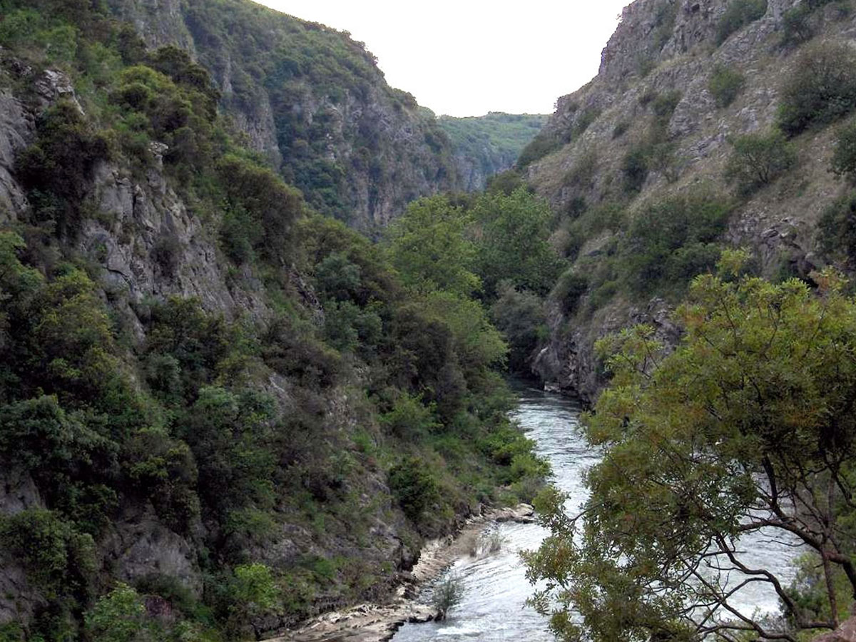 Agitis river