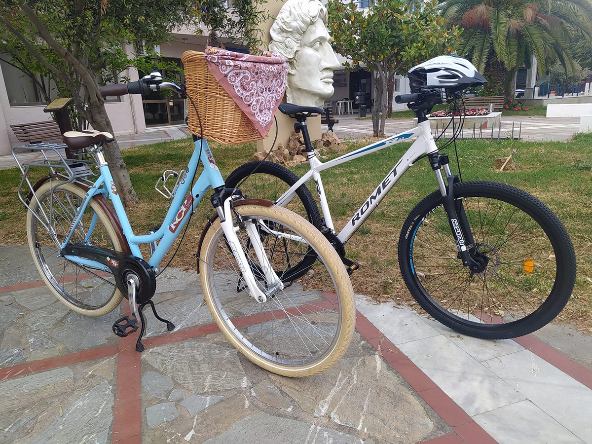 Bike Rental - Carousel Bikes